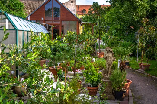 Kräutergarten Schnaittenbach
