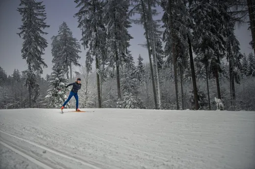 Langlauf am Rotbühlsender