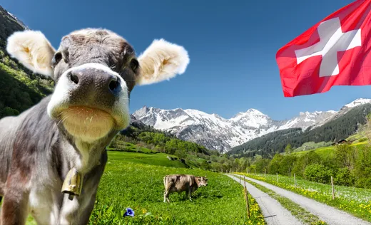 Menü-Motiv – Sperber Bräu
