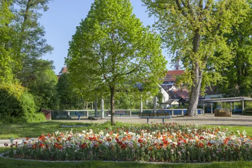 Blumen im Stadtpark