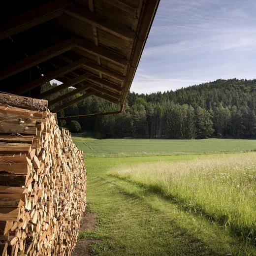 Gasthaus Laurer — Umgebung 1